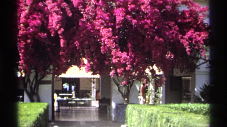 Guaymas, Mexico 1975 home-movie view of a plaza courtyard with dense bougainvillea, hedges, stucco walls, and a shaded entry.