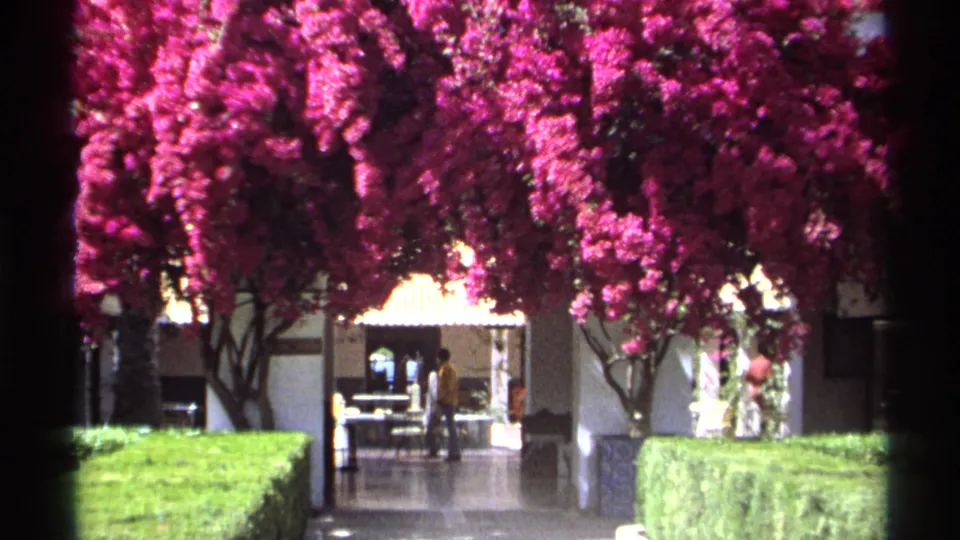 Guaymas, Mexico 1975 frame with a distant man in yellow walking through a courtyard framed by bougainvillea, hedges, and white stucco.