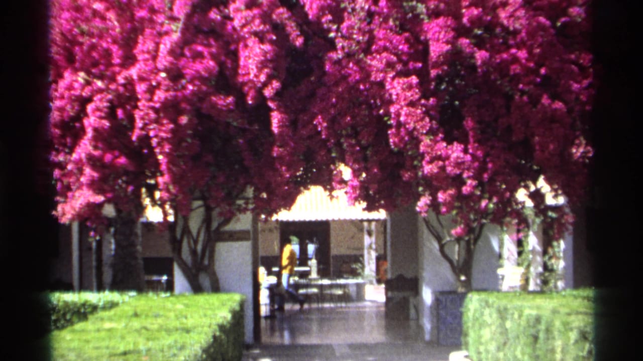 1975 Guaymas home-movie frame showing bougainvillea over a courtyard path with distant people near a white stucco building.