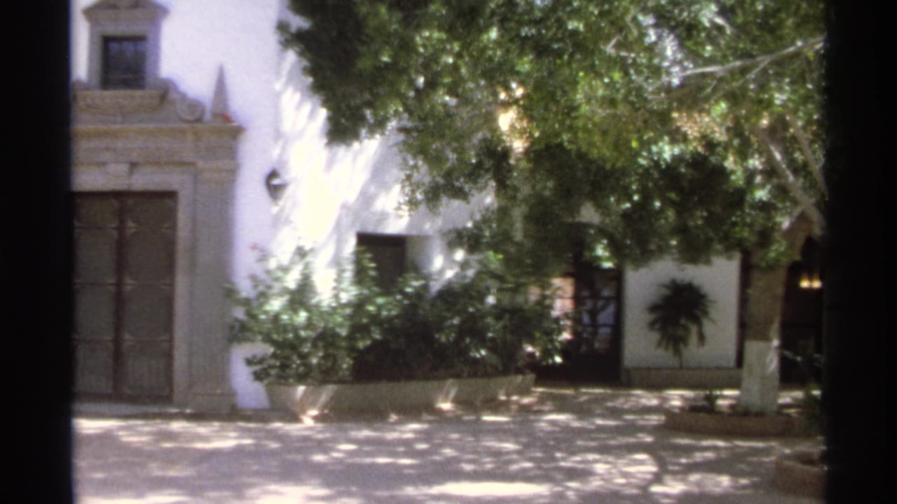 Whitewashed courtyard wall with dark doors, plants, and tree shade.