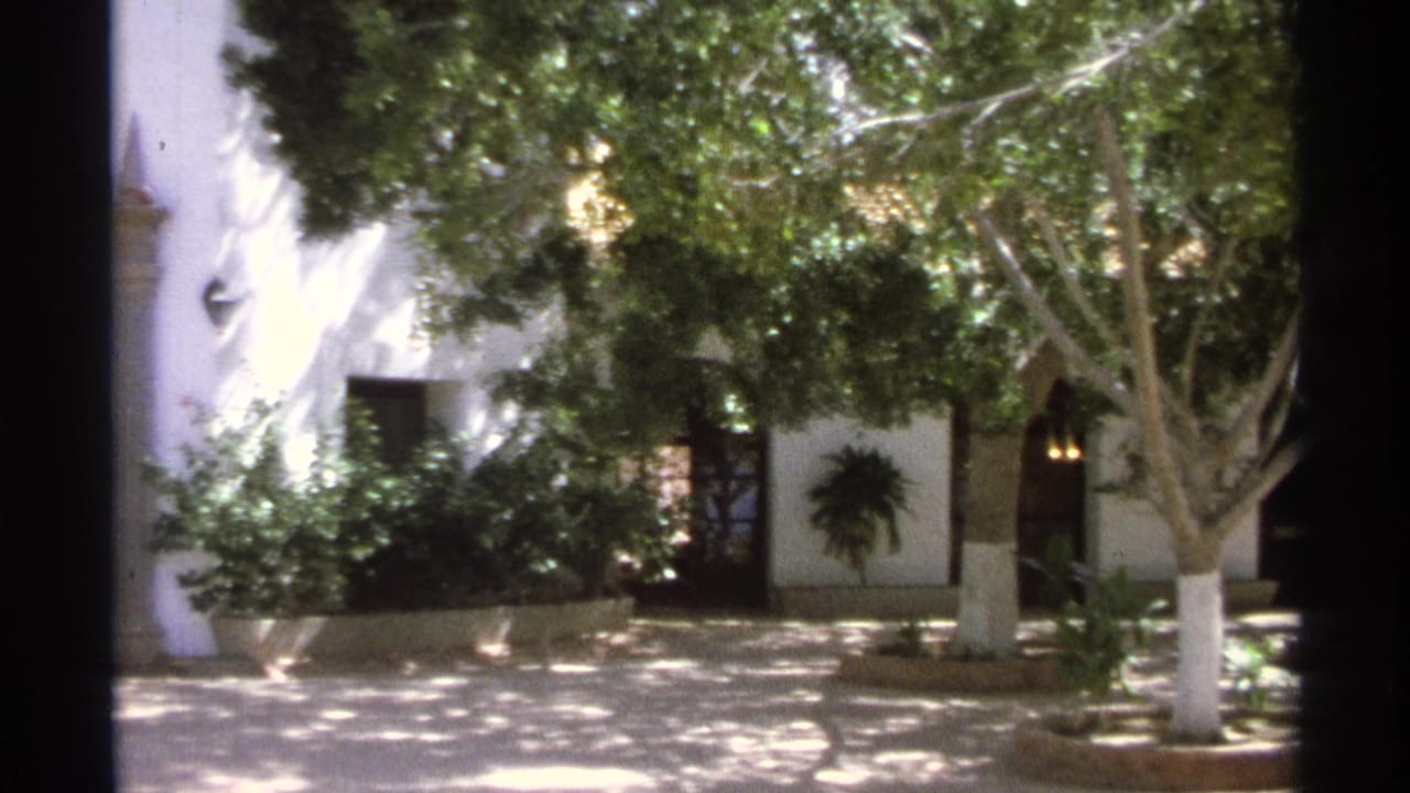 Courtyard facade partly shaded by leafy trees and plants.