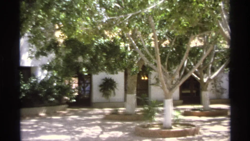 A 1975 home-movie frame shows white-painted tree trunks, circular planters, and dark doorway openings in a Guaymas courtyard.