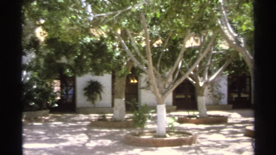 The pan reaches a wider courtyard view with multiple shade trees, white-painted trunks, dark doorways, and bright paving in Guaymas.