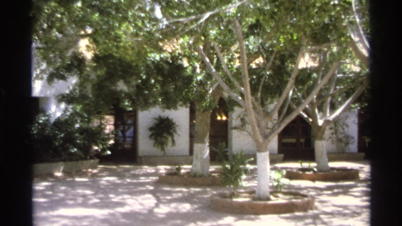 Sunlit courtyard with trees, white buildings, and a tiled fountain at right.