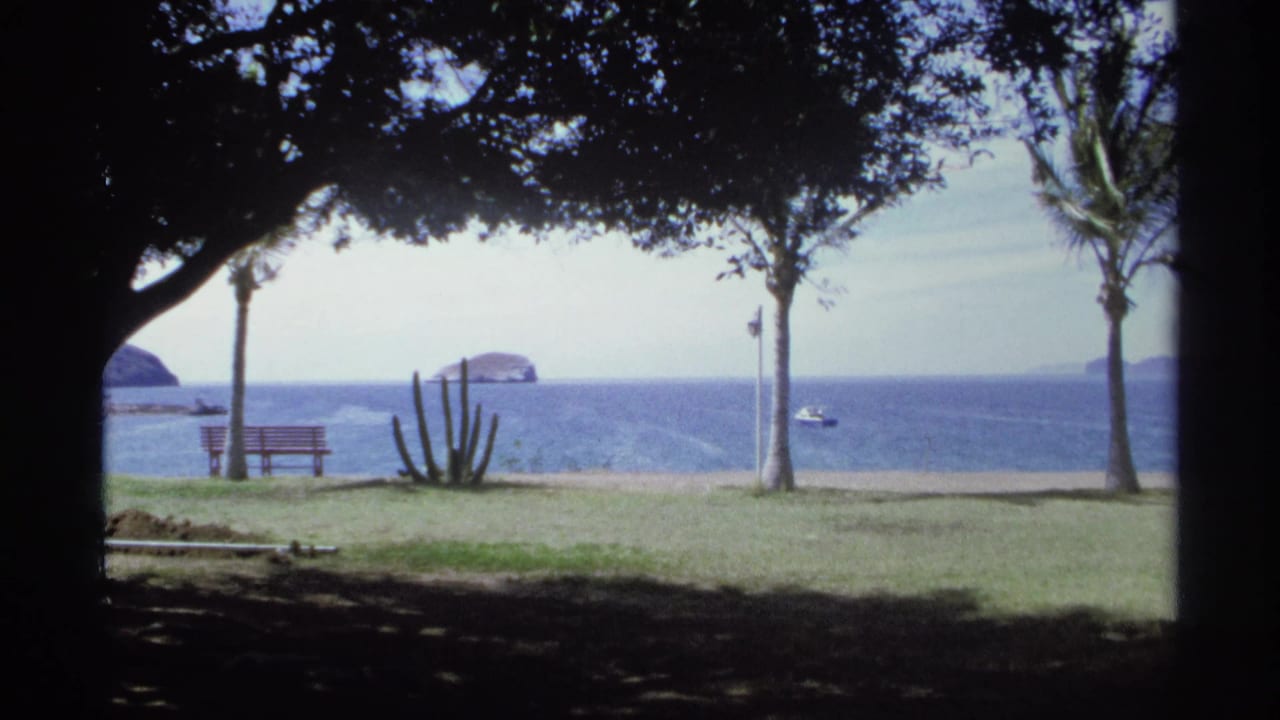 Shaded seaside park with palm trees, bench, cactus, blue ocean, and distant islands.
