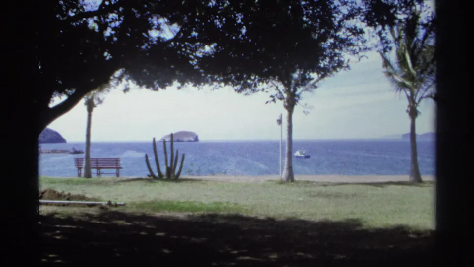 1975 Guaymas home-movie view of a shaded waterfront lawn with palms, a bench, cactus, ocean, boat, and distant islands.