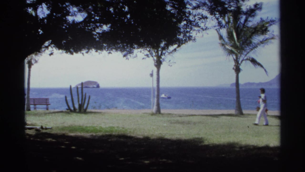 Person in white walks through a seaside park with palms, cactus, bench, ocean, and islands.