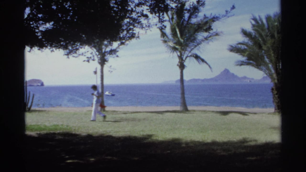 Man in white walks across a shaded lawn near palm trees, beach, blue water, and distant mountains.