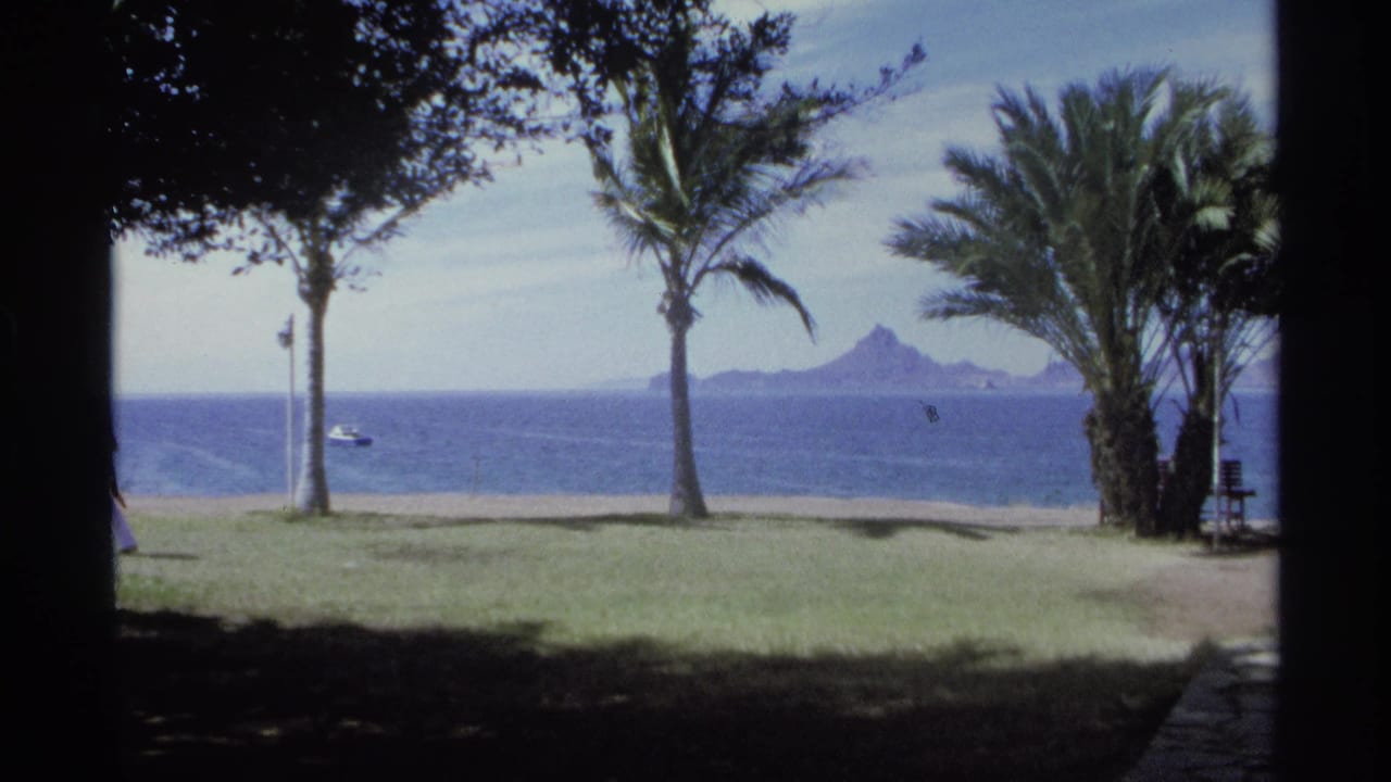 Palm-lined lawn faces the beach and ocean, with a small boat offshore and mountains in the distance.