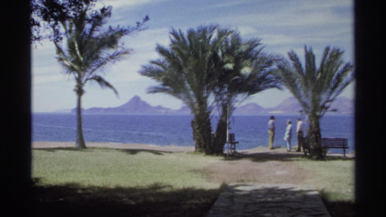Three adults stand between palm trees beside a seaside path with benches and mountains beyond the water.