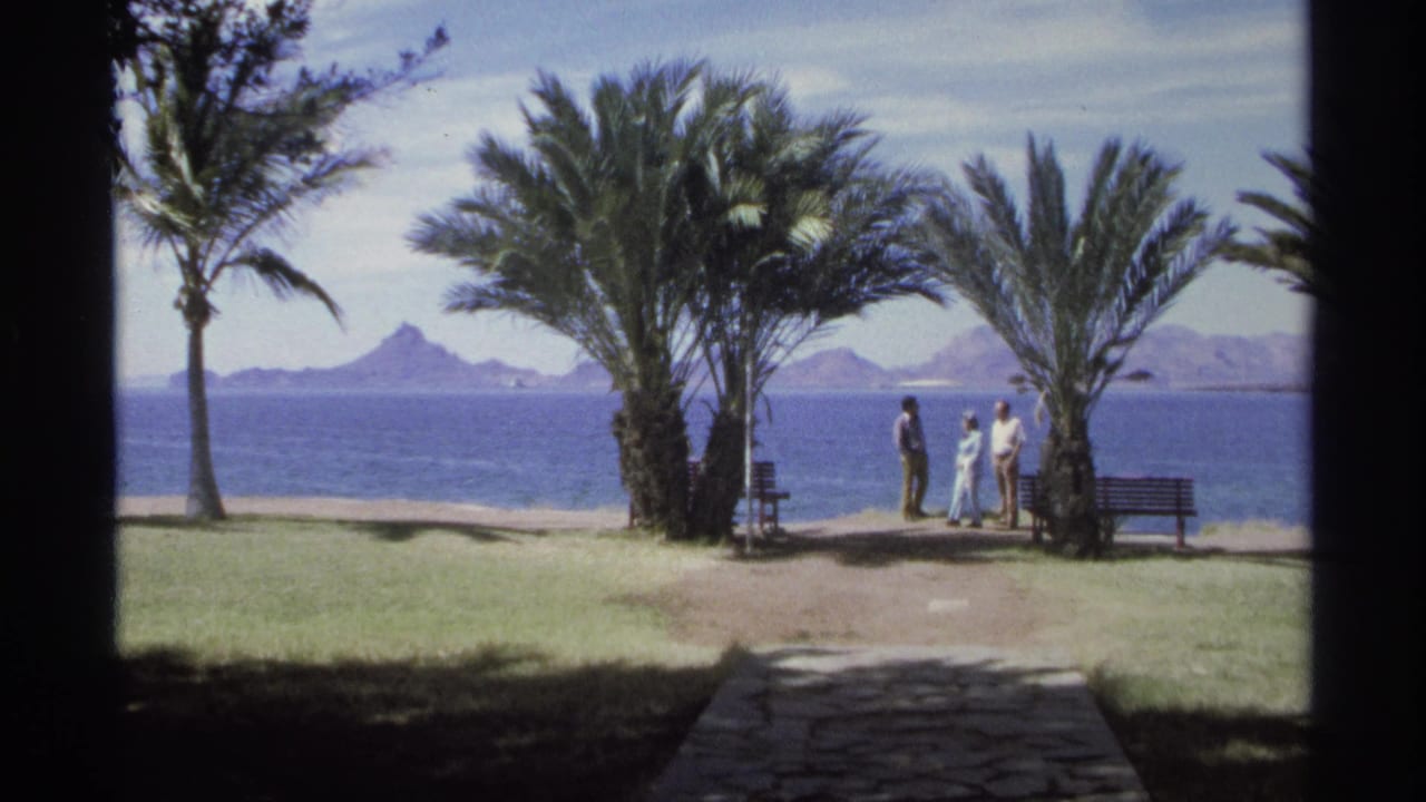 1975 Guaymas frame with three adults gathered by palm trees and benches on a bright seaside promenade, viewed through a dark border.