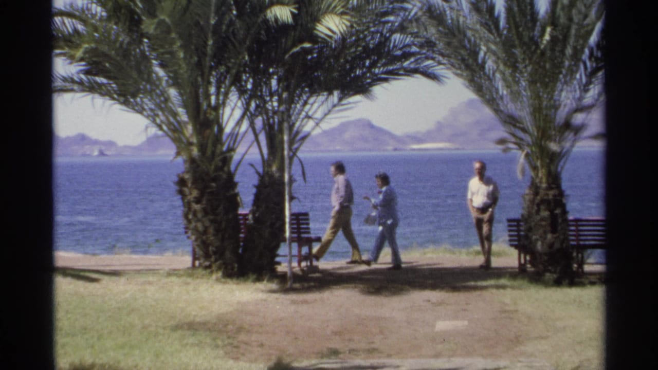 Adults near palm trees and benches beside blue water with mountains in the distance.