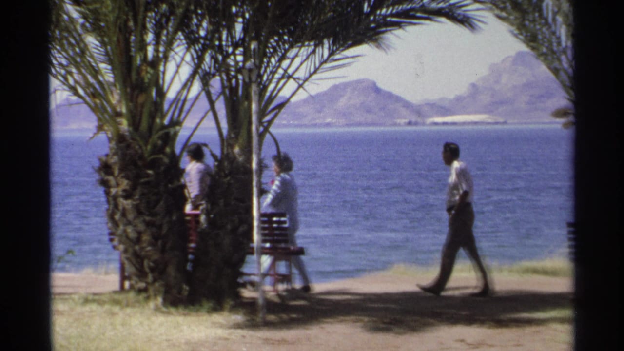 People pass between palm trees and benches on a sunny waterfront path.