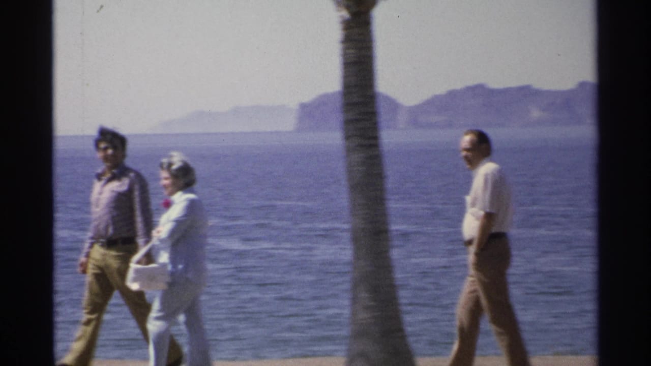 Three adults walking beside the ocean with a palm trunk and distant hills behind them.