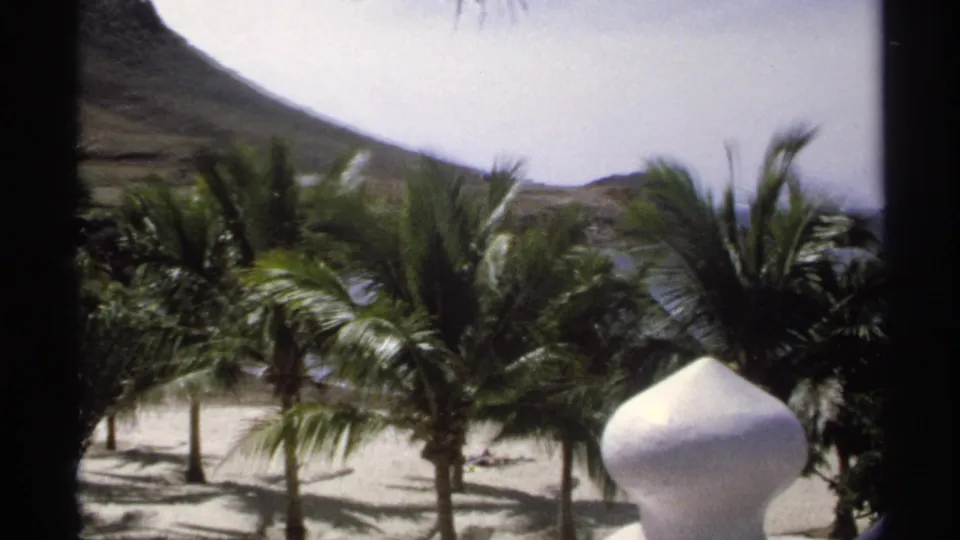 A Guaymas coastal view shows palms, sand, a white sculptural object, and a hillside near the waterfront.