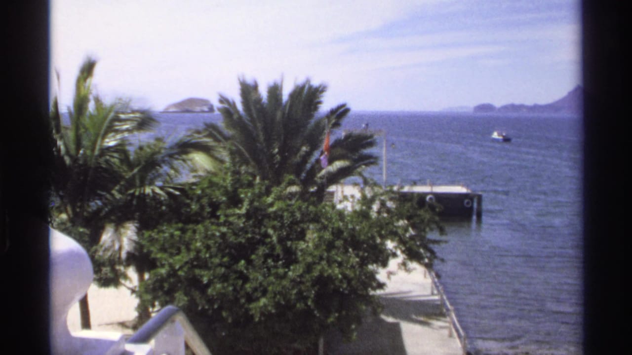 Palm trees and foliage overlook a pier, blue water, small boat, and distant islands.