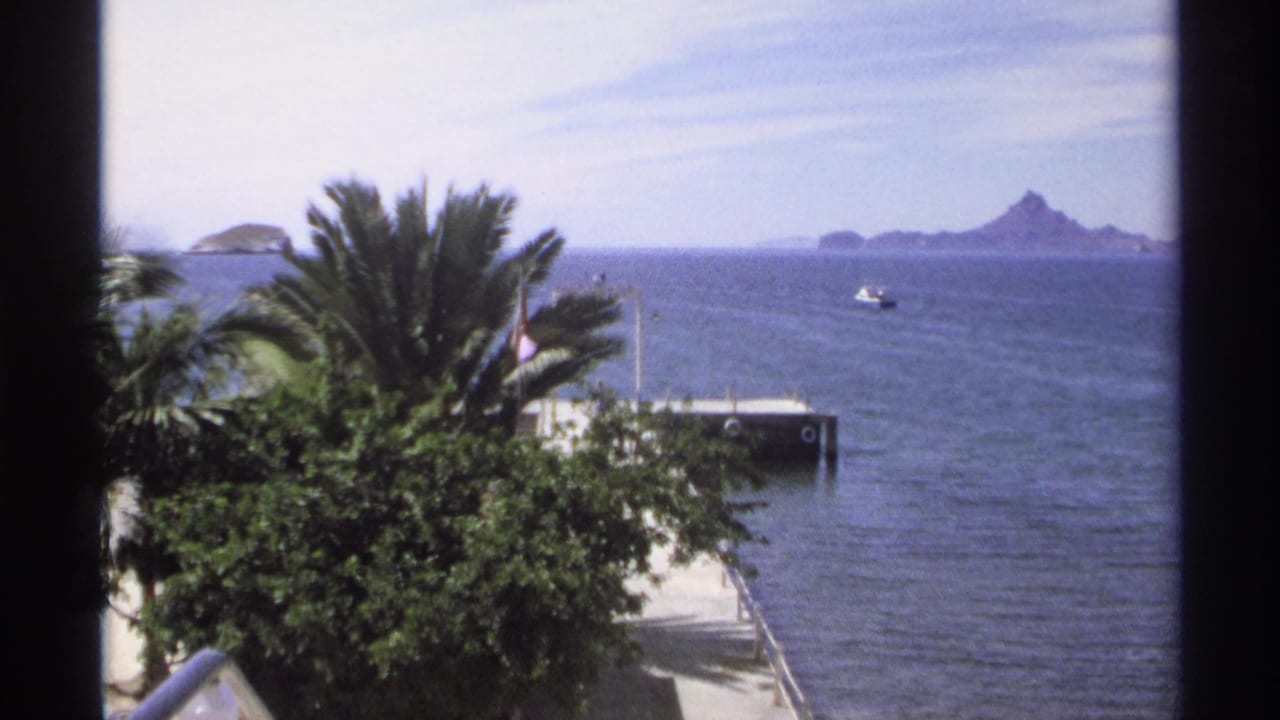 Palm and shoreline foliage frame a pier, open water, boat, and distant rocky island.