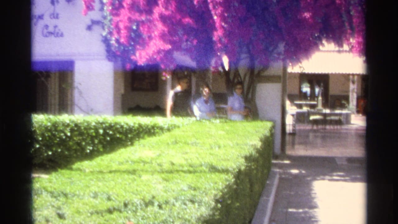 Courtyard with green hedge, magenta bougainvillea, white walls, and people in shade.