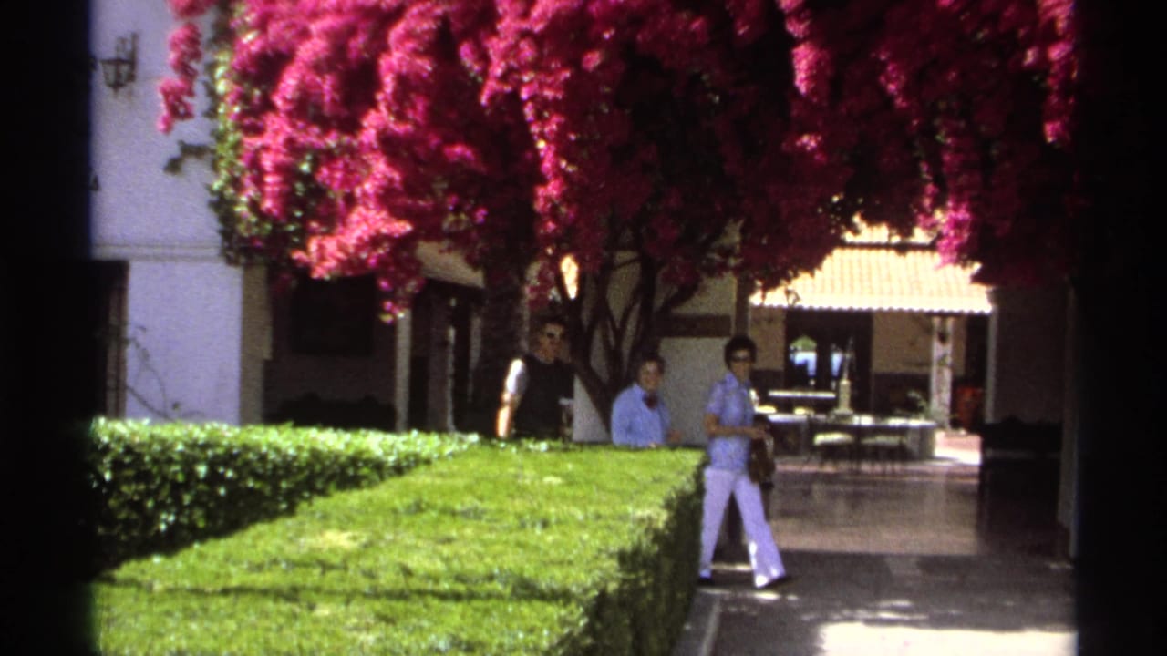 Pedestrians walk beside a hedge under dense magenta bougainvillea in a courtyard.