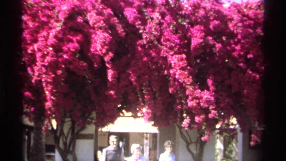 1975 Guaymas home-movie frame showing adults crossing a courtyard under bright bougainvillea and strong sunlight.