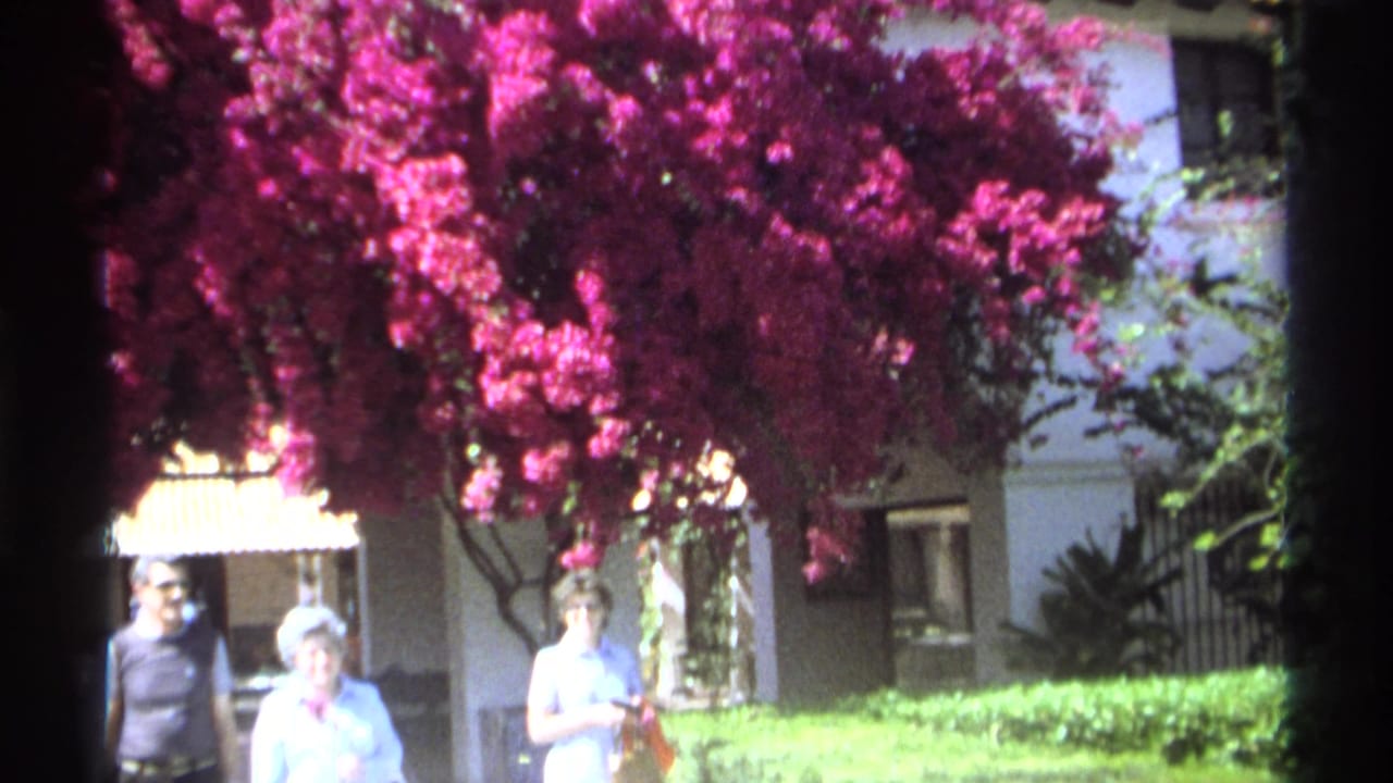 In Guaymas, Mexico, three pedestrians appear beneath a bright bougainvillea canopy near a stucco courtyard facade.