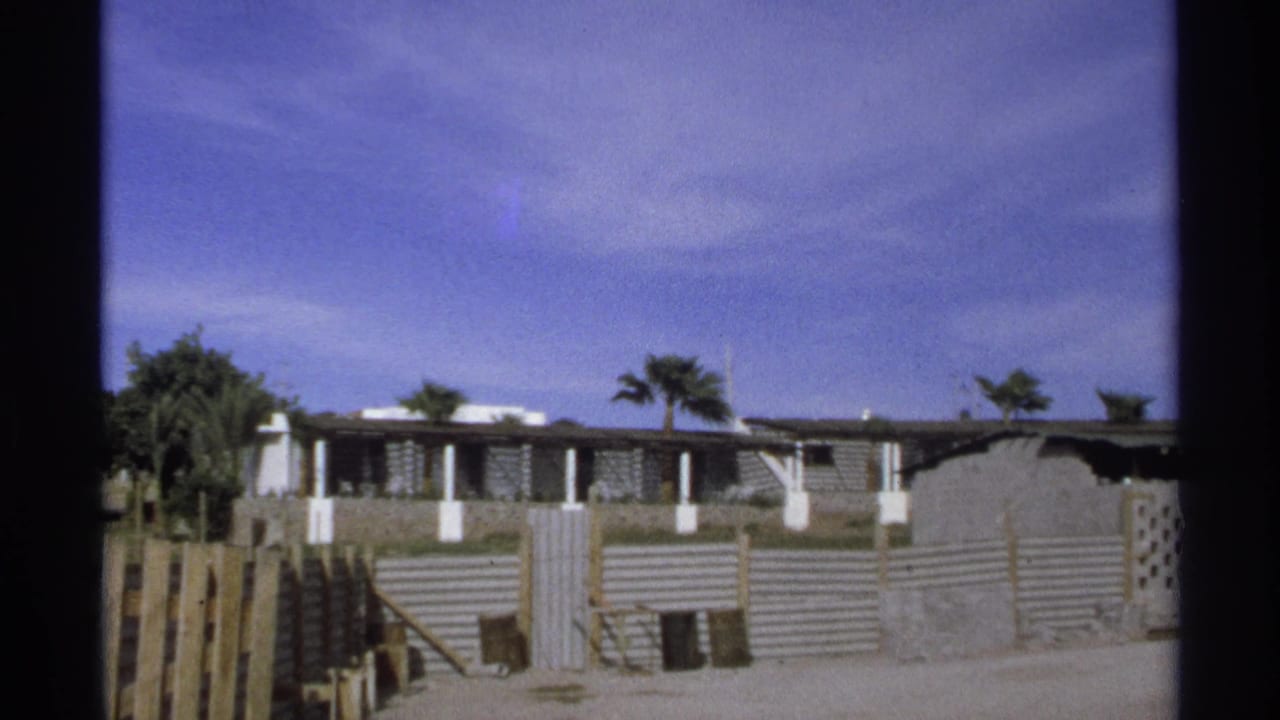 Low flat-roof house behind corrugated barriers with palm trees nearby.