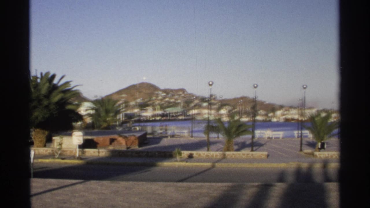 Palm-lined waterfront promenade with benches, lampposts, harbor water, hillside buildings, and mountains.