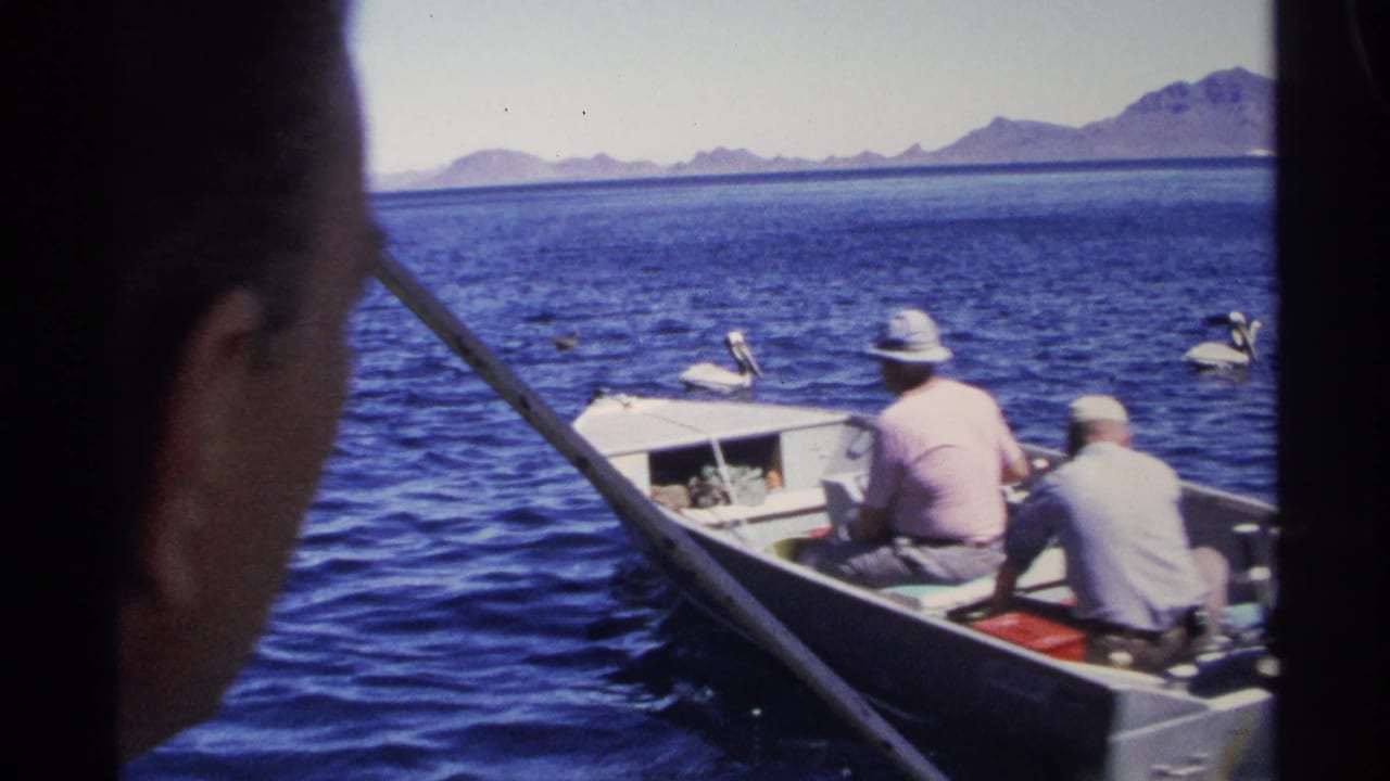 Two men in a small motorboat near pelicans on open blue water.