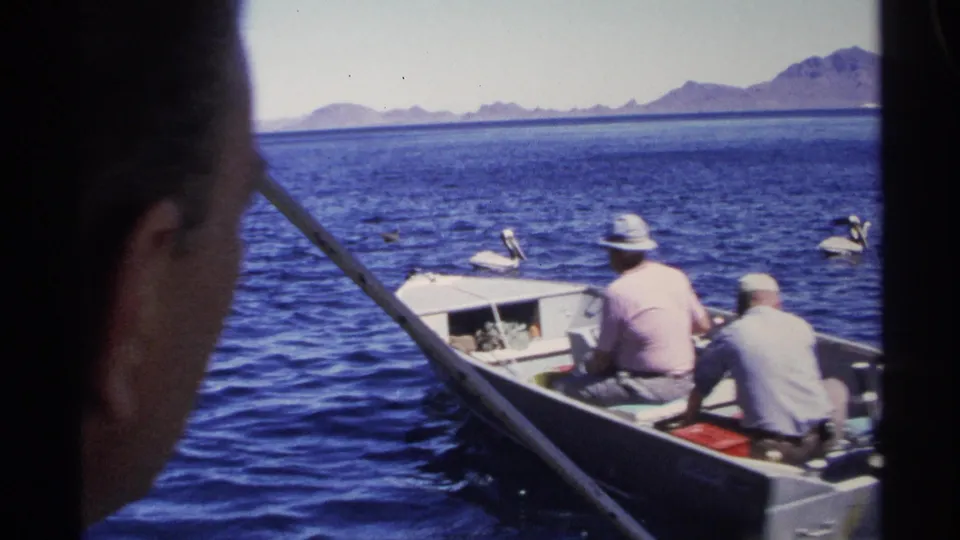 1975 Guaymas frame with two men in a small motorboat passing pelicans on blue water, seen from another boat.