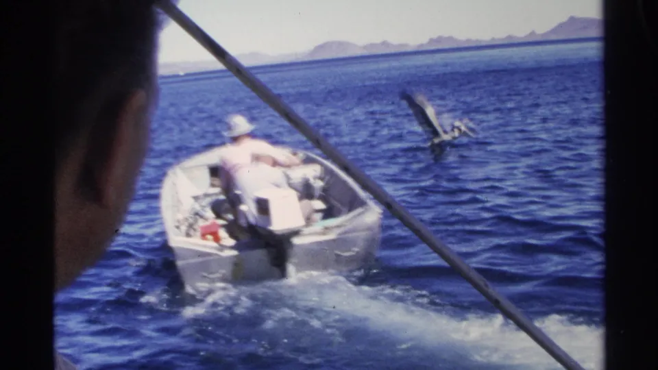 1975 Guaymas frame showing a small motorboat from behind, with two men aboard and a pelican nearby on the blue sea.