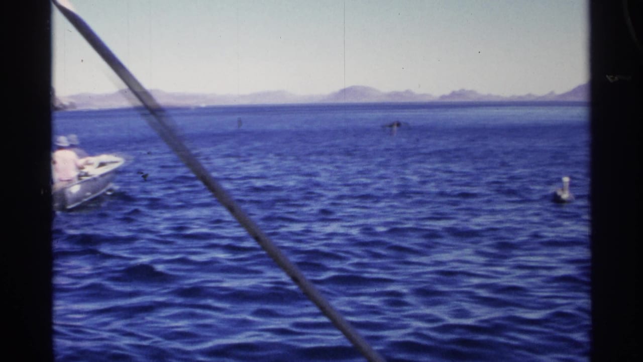 Boat moving away on open blue water with distant coastline and buoys.