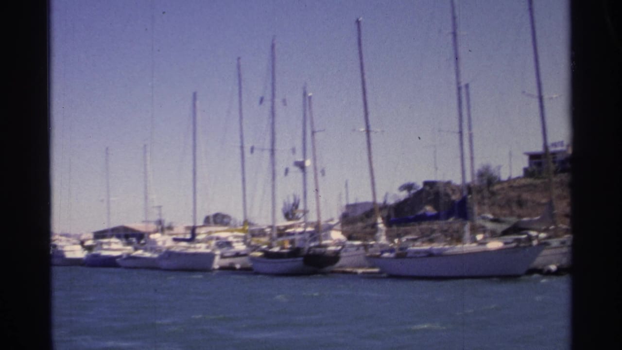 Cluster of moored sailboats with tall masts along the marina shoreline.