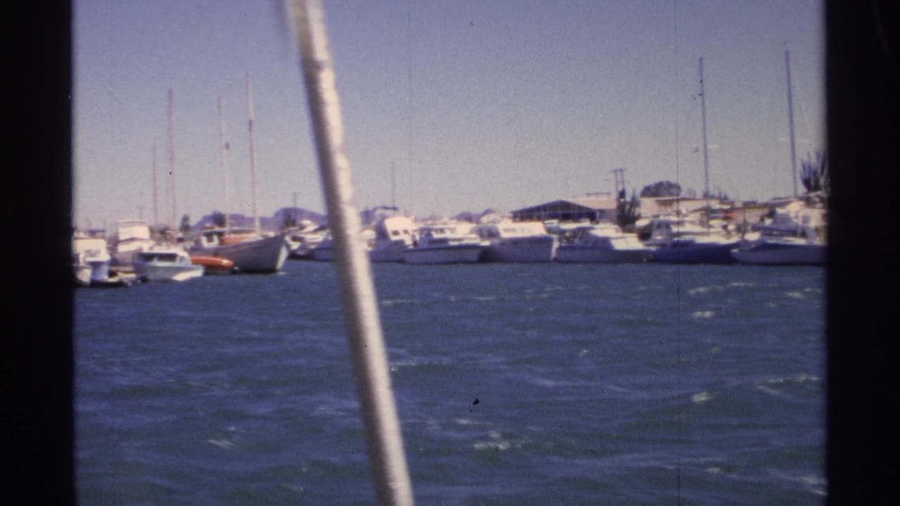 Marina shoreline with sailboats and small yachts seen over wind-ruffled water.