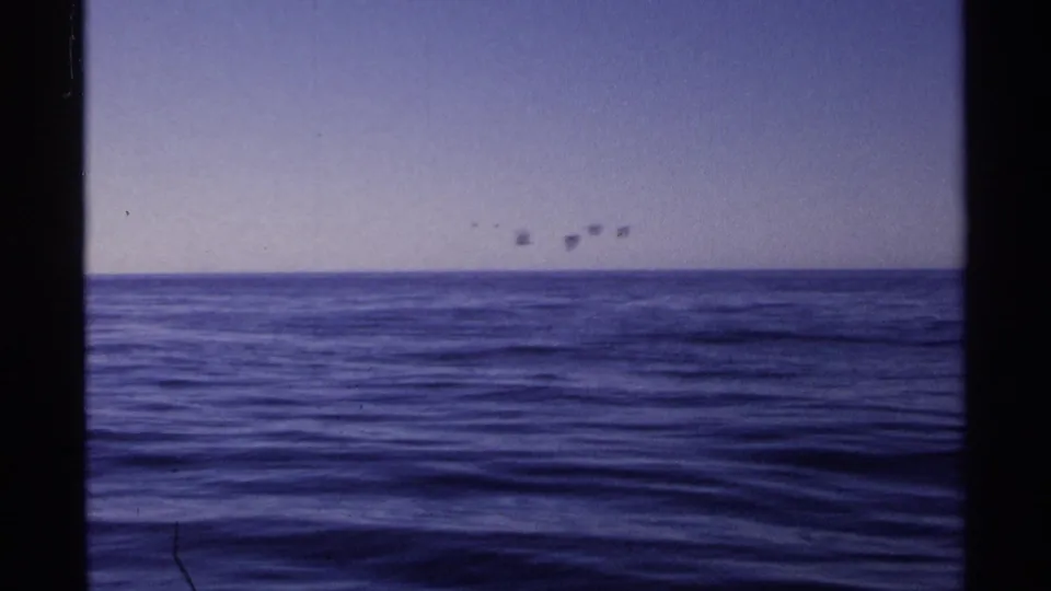 A wide 1975 Guaymas water view shows calm blue sea with a small distant cluster of dark shapes near the horizon.