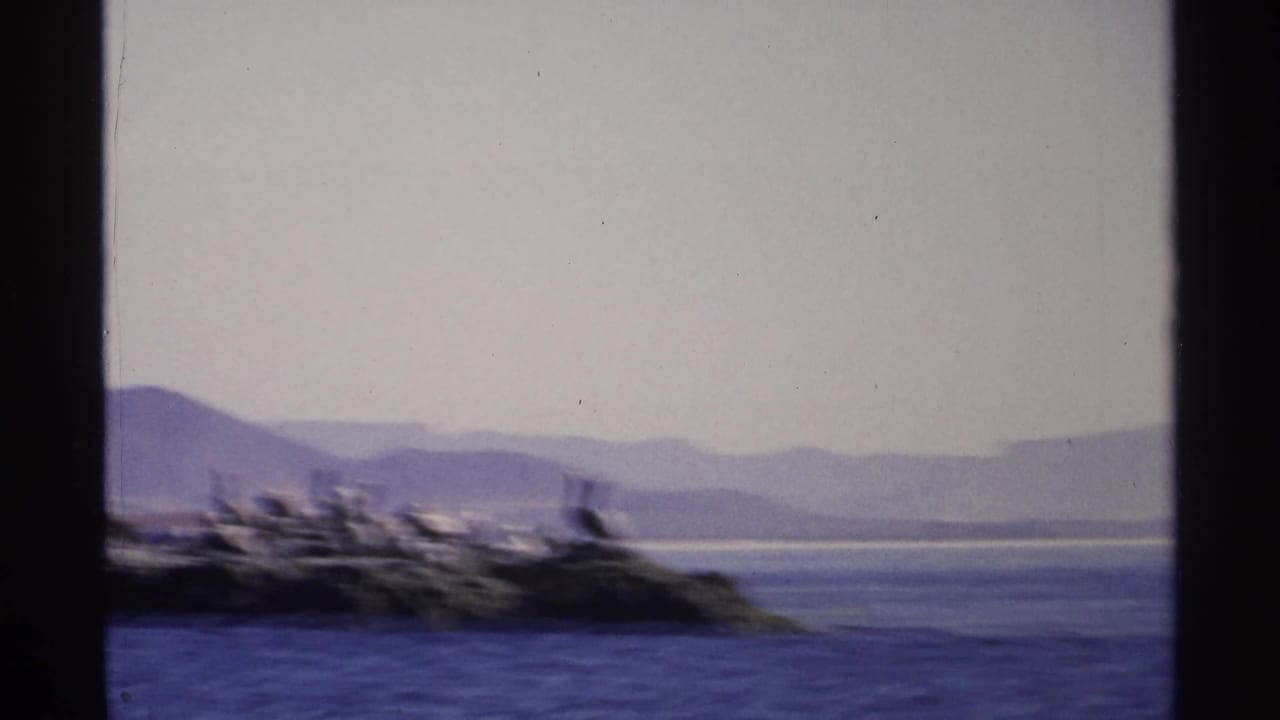 Rocky shoreline with perched birds, blue water, distant mountains, and pale sky.