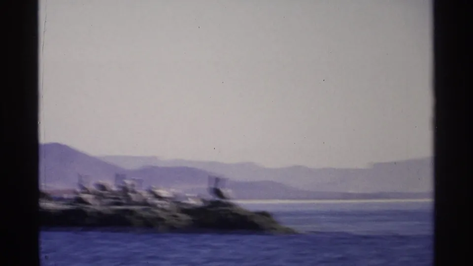 1975 Guaymas coastal view showing birds perched on low rocks, blue water in front, and hazy mountains beyond.