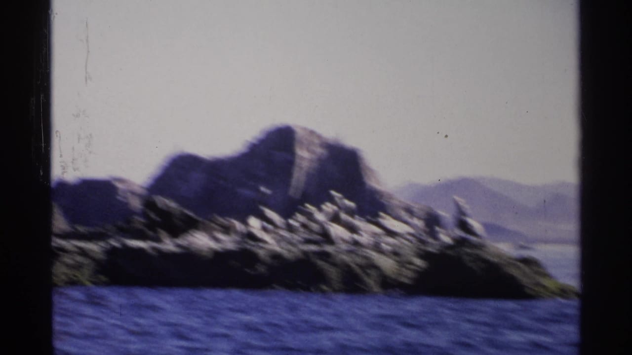 Rocky island with pelicans beside blue ocean and distant mountains.