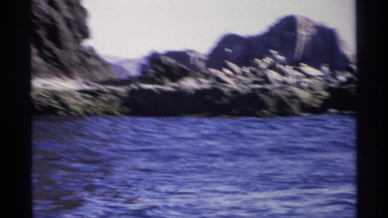 Blue water in front of a rocky bird-covered island and mountain backdrop.