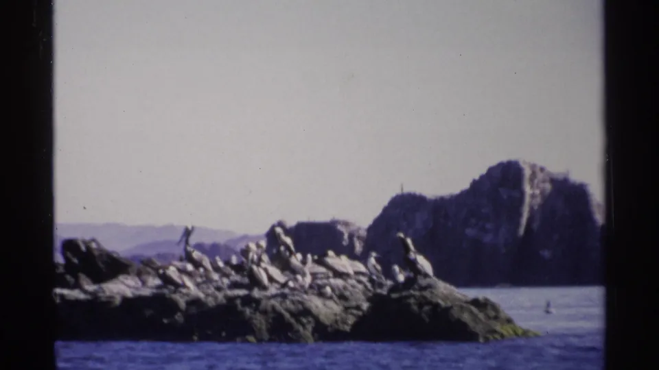 1975 Guaymas home-movie frame showing a rocky island with birds, calm water, and a large mountain in the background.