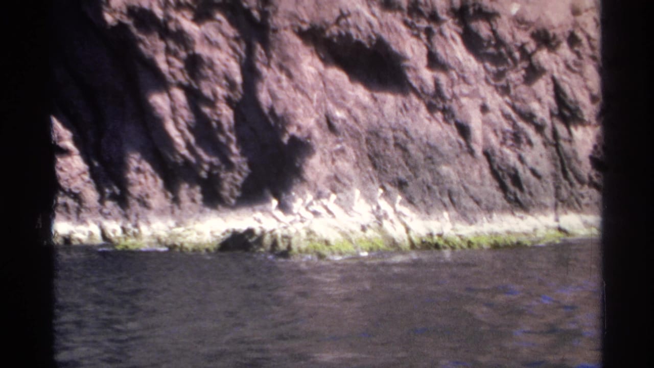 Rocky shoreline beside blue water with 8mm frame edges visible.