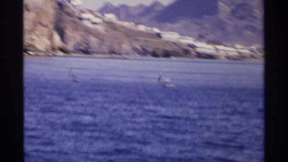 Soft 1975 8mm frame of birds on Guaymas coastal water, with a pale rocky hillside and mountains beyond.