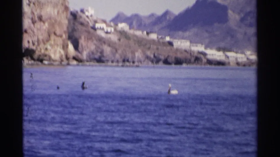 1975 Guaymas home-movie frame showing waterbirds offshore, backed by cliffs, mountains, and distant white hillside buildings.