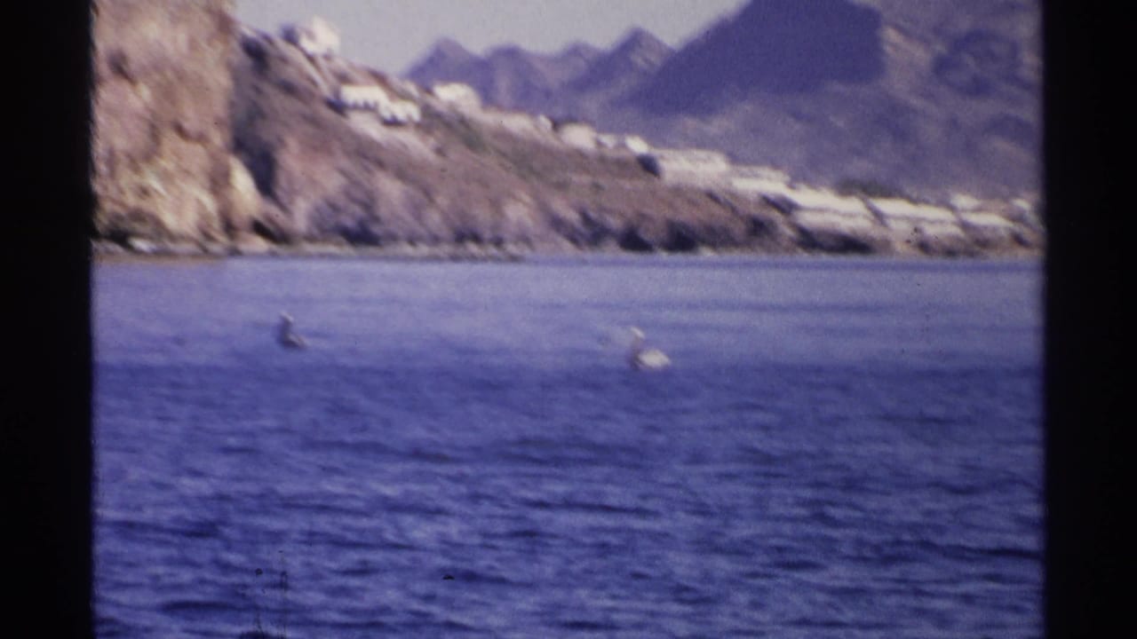 Pelicans over blue water with rocky coastline and mountains in the distance.