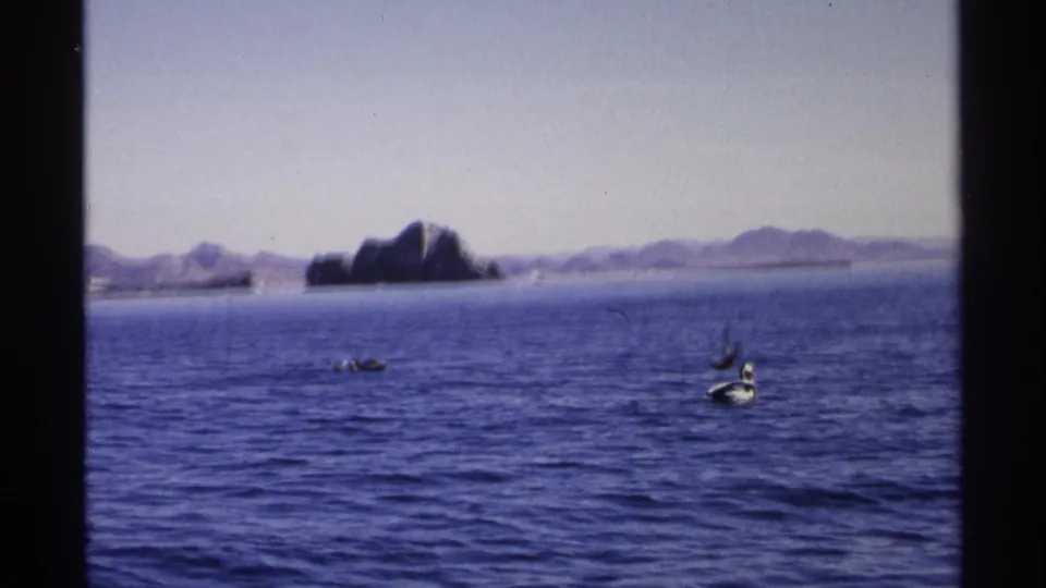 1975 Guaymas frame showing pelicans on open sea, a low rocky island, distant shoreline, and mountains under a pale sky.