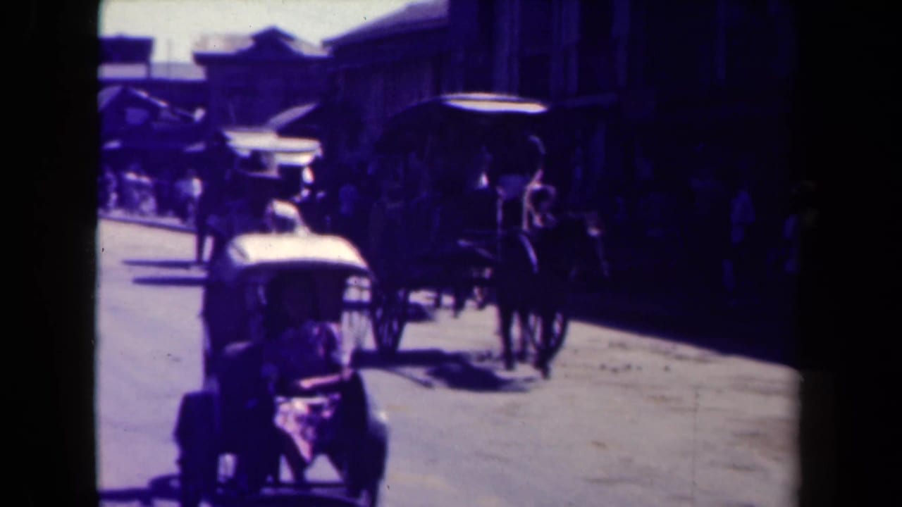 Horse-drawn carriage and automobile traffic on a sunlit city street.