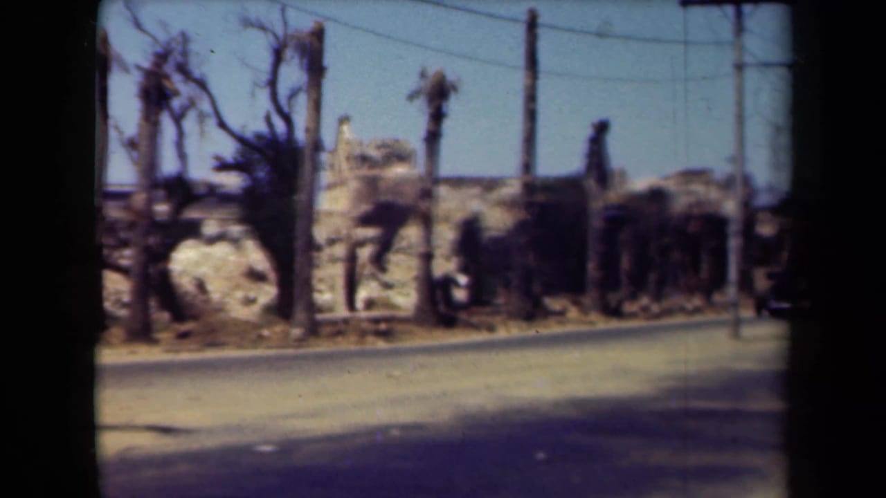 Damaged roadside buildings, burned palm trunks, utility poles, and a paved road.