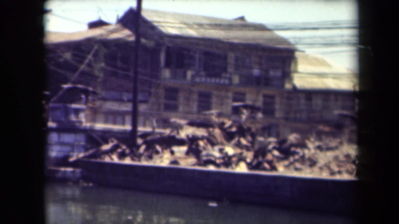 Waterfront street with weathered buildings, utility wires, debris, and a pole.