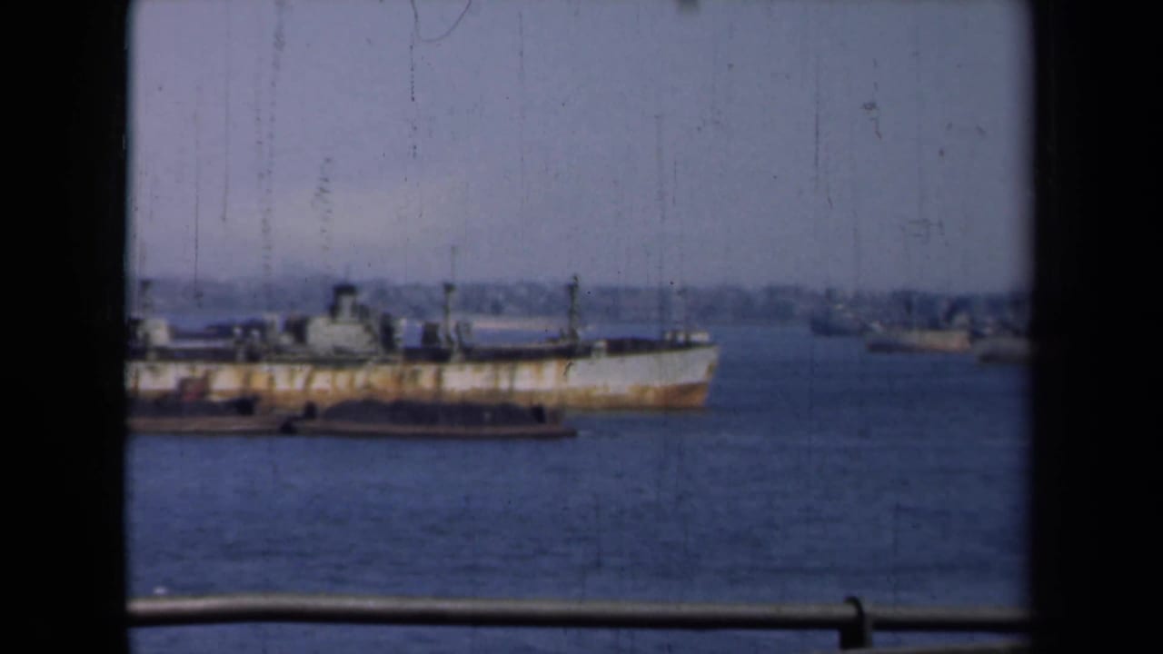 Rusty ship in harbor water with distant shoreline, rail, and dark vertical frame.