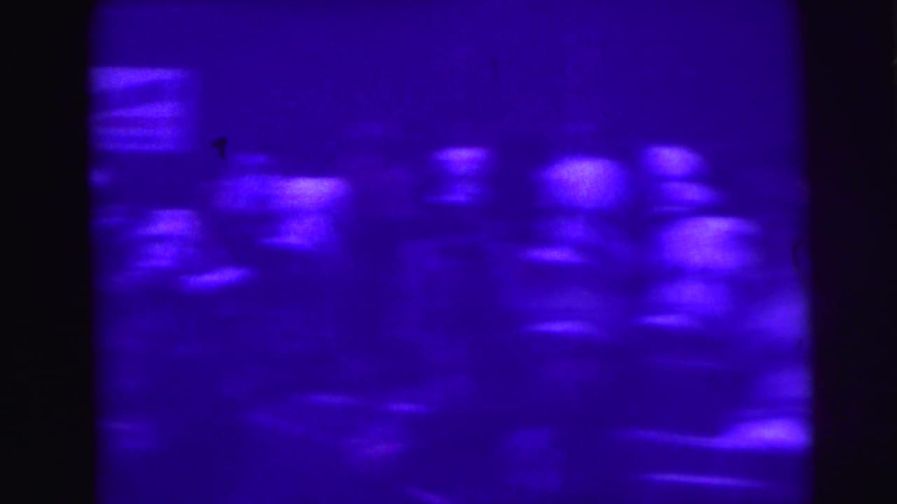 Marching parade group appears in soft focus behind dark film borders.