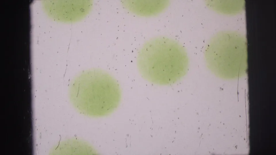 Aged 8mm frame showing pale exposure, several green circular stains, dust, scratches, and dark frame borders.